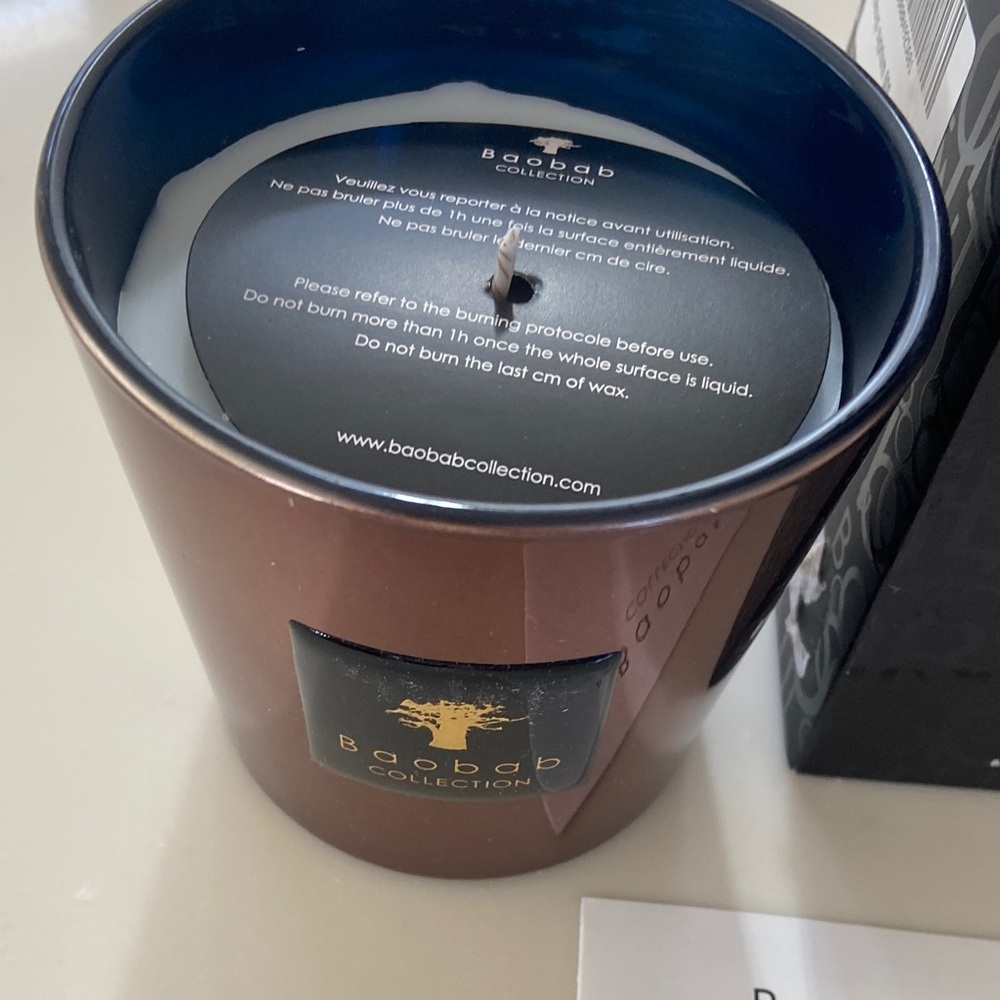 Baobab Collection Cyprium Candle in Black and Gold - Picture 7 of 12